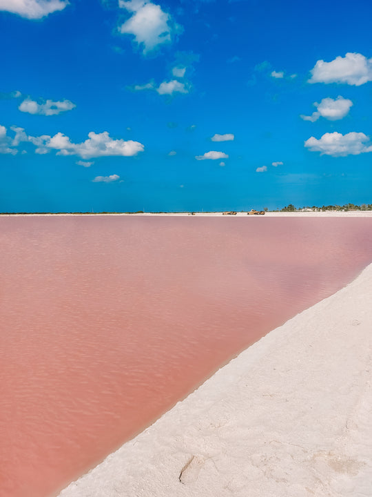 Amazing view of the pink lake in Las Coloradas, Mexico, showcasing vibrant pink hues of the water contrasting with the blue sky, a unique natural wonder and popular tourist destination on the Yucatán Peninsula.